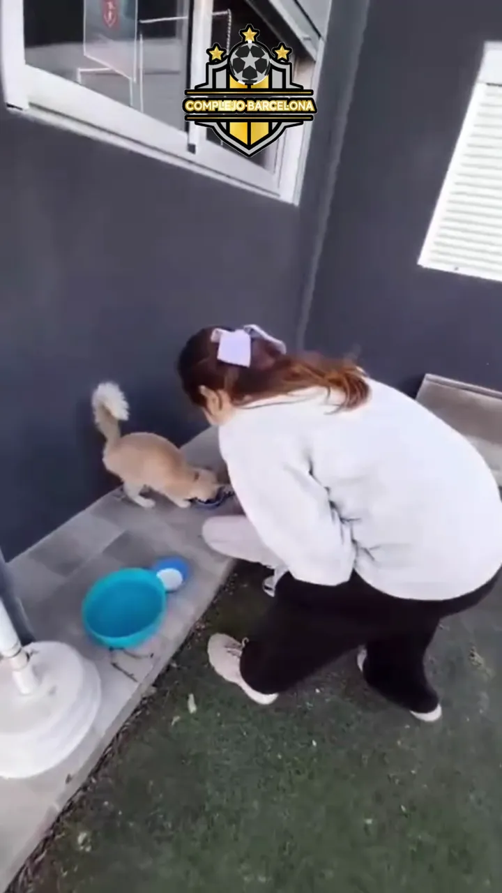 Copito y jardín